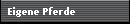 Eigene Pferde
